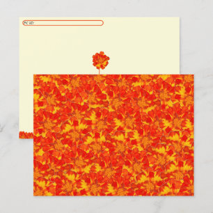 Cartão Postal De Festividades Cartão-postal Floral Laranja e Vermelho Marigold