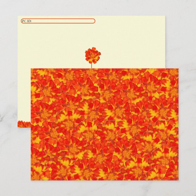 Cartão Postal De Festividades Cartão-postal Floral Laranja e Vermelho Marigold (Frente/Verso)