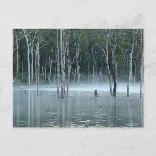 Cartão Postal De Festividades Cartão-postal Misty Gumtree