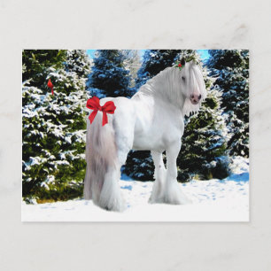 Cartão Postal De Festividades Cartão-postal "Noel"