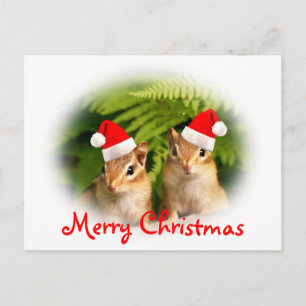 Cartão Postal De Festividades Cartão-postal para bebês de Natal feliz