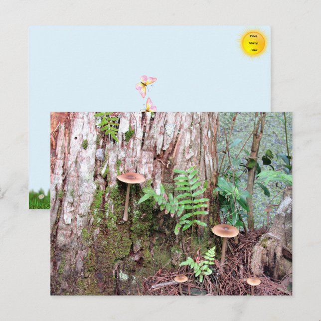 Cartão Postal De Festividades Cartão-postal para Cogumelos Pequenos (Frente/Verso)