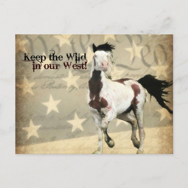 Cartão Postal De Festividades Cartão-postal pré-endereçado ao Departamento do In (Frente)