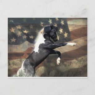 Cartão Postal De Festividades Cartão-postal pré-endereçado ao Departamento do In