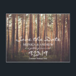 Cartão Postal De Festividades Cartão-postal Rustic Save the Date Forest Tree<br><div class="desc">Cartão-postal da Árvore da Floresta Russa de Casamento</div>