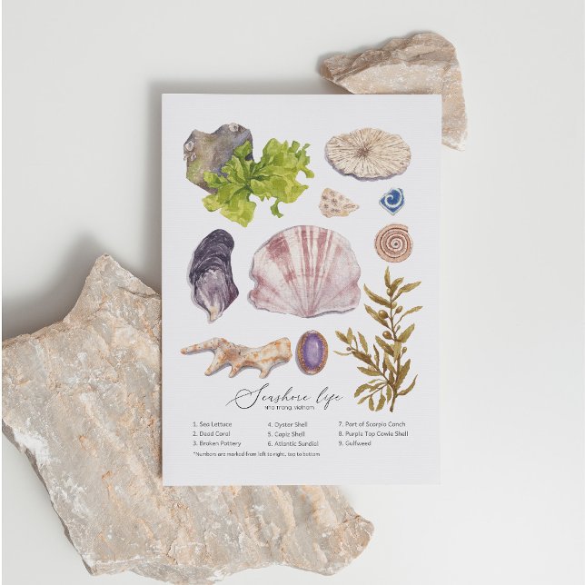 Cartão Postal De Festividades Cartão-postal Seashore (Criador carregado)