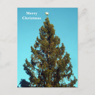 Cartão Postal De Festividades Cartaz de Natal na Praça de Tralgar