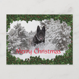 Cartão Postal De Festividades Cartaz de Natal personalizado com cão preto