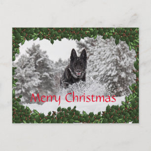 Cartão Postal De Festividades Cartaz de Natal personalizado com cão preto