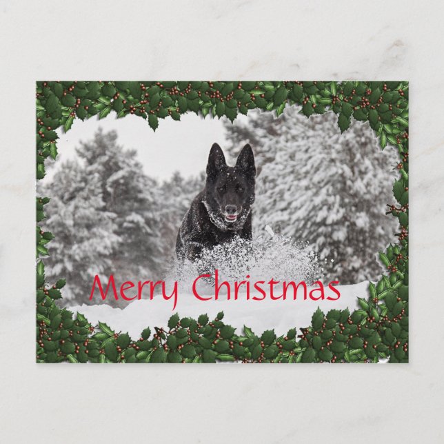 Cartão Postal De Festividades Cartaz de Natal personalizado com cão preto (Frente)