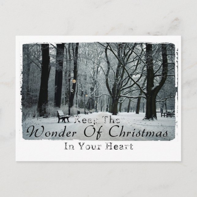 Cartão Postal De Festividades Cartaz fotográfico de Natal (Frente)