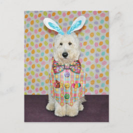 Cartão Postal De Festividades Cartaz Páscoa de Goldendoodle