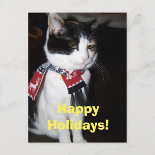 Cartão Postal De Festividades Carteira postal do Calico Cat Vestindo Scarf Happy