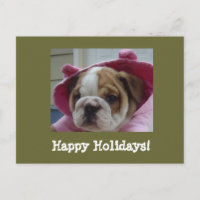 Cartões-postais de feriados felizes para o Buldogu