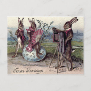 Cartão Postal De Festividades Casal de Coelhos de Páscoa Câmera Ovo