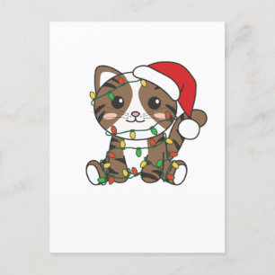 Cartão Postal De Festividades Cat Christmas Winter Animals Cats