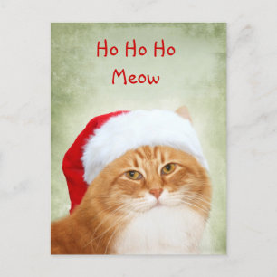 Cartão Postal De Festividades Cat Santa Claus
