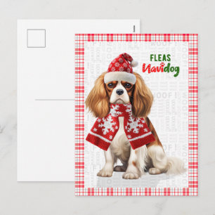 Cartão Postal De Festividades Cavalier King Charles Cachorro Pulgas Navidog Nata