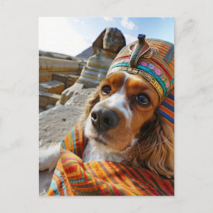 Cartão Postal De Festividades Cavalier King Charles Cocker Spaniel no Egito