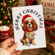 Cavalier King Charles Spaniel Feliz Natal