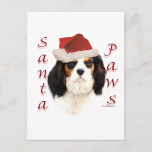 Cartão Postal De Festividades Cavalier King Charles Spaniel Papais noeis Paws