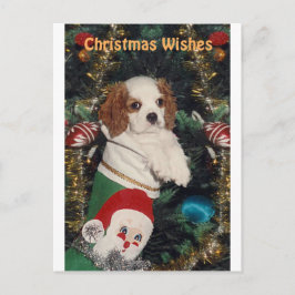 Cartão Postal De Festividades Cavalier Puppy Na Parada De Natal