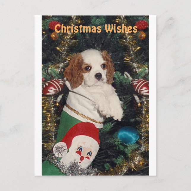 Cartão Postal De Festividades Cavalier Puppy Na Parada De Natal (Frente)