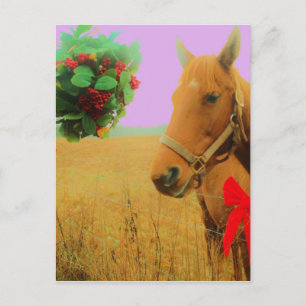 Cartão Postal De Festividades Cavalo de Natal do céu cor-de-rosa