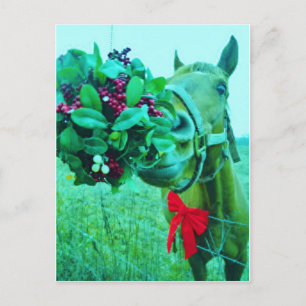 Cartão Postal De Festividades Cavalo de Teal de Natal Mistletoe