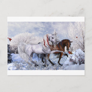 Cartão Postal De Festividades Cavalos de Natal