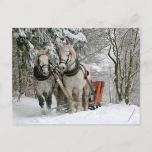 Cartão Postal De Festividades Cavalos de Tração Natal