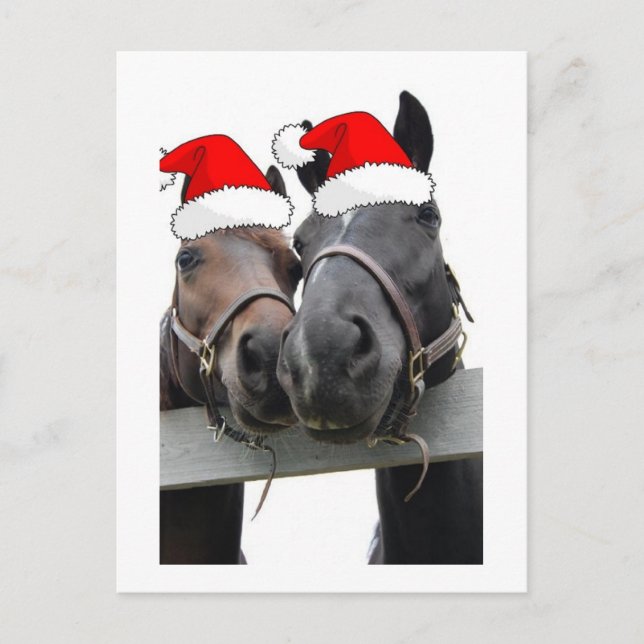 Cartão Postal De Festividades Cavalos do País de Natal (Frente)