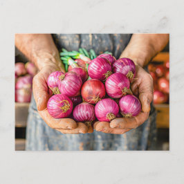 Cartão Postal De Festividades Cebolas vermelhas frescas na posse do agricultor