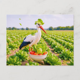 Cartão Postal De Festividades Cegonha em Pé Desajeitadamente no Canteiro de Sala