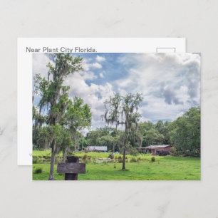 Cartão Postal De Festividades Central Florida Homestead