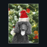 Cartão Postal De Festividades Chapéu vermelho do papai noel do boneco de neve da<br><div class="desc">Cão de caniche bonito que veste o chapéu vermelho do papai noel com o ornamento do boneco de neve da árvore de Natal no fundo.</div>