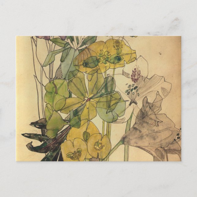 Cartão Postal De Festividades Charles Rennie Mackintosh - Spurge Com Yham 1909 (Frente)