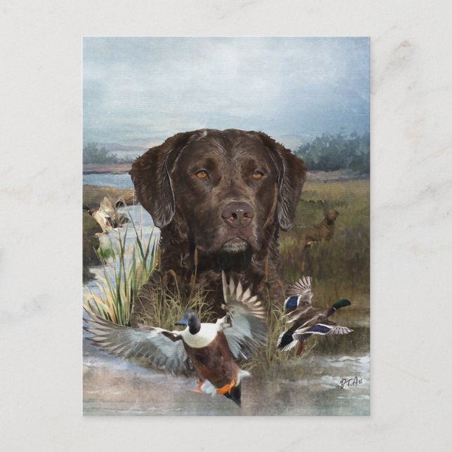 Cartão Postal De Festividades Chesapeake Bay Retriever, Arte (Frente)