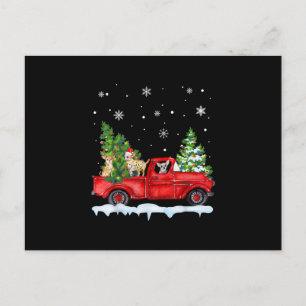 Cartão Postal De Festividades Chihuahua Engraçado Com Caminhão Vermelho Natal Fe
