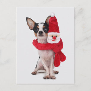 Cartão Postal De Festividades Chihuahua with Santa Claus doll