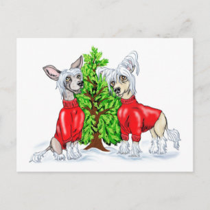 Cartão Postal De Festividades Chinese Crested Christmas Tree