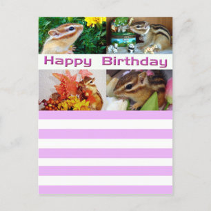 Cartão Postal De Festividades Chipmunk, Birthday, Holiday, Natal (foto)