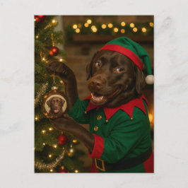 Cartão Postal De Festividades Chocolate  Labrador Dog Christmas Holiday postcard
