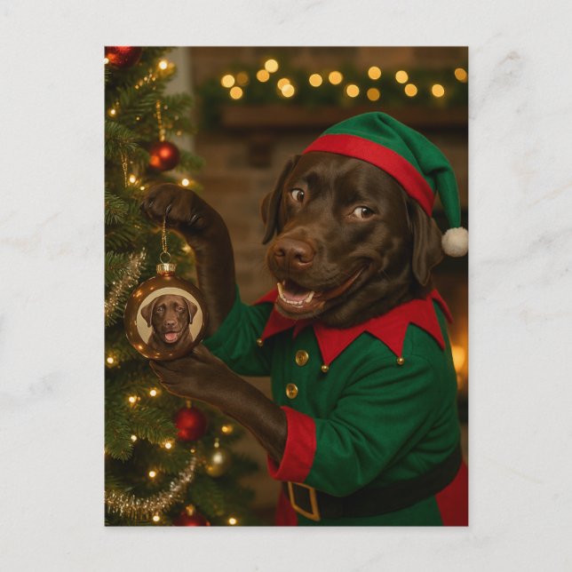Cartão Postal De Festividades Chocolate  Labrador Dog Christmas Holiday postcard (Frente)