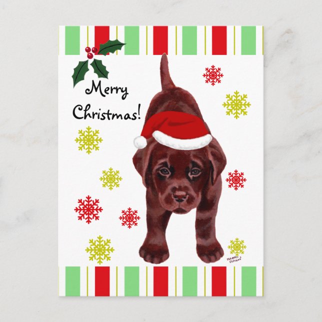 Cartão Postal De Festividades Chocolate Labrador Puppy e Papai Noel Natal (Frente)