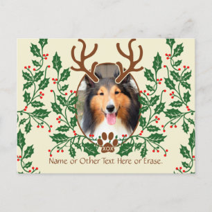 Cartão Postal De Festividades Christmas Antlers For Dog / Cat Personalize Photo