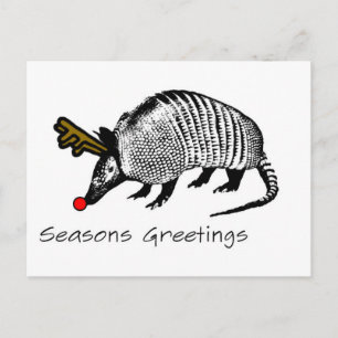 Cartão Postal De Festividades Christmas Armadillo
