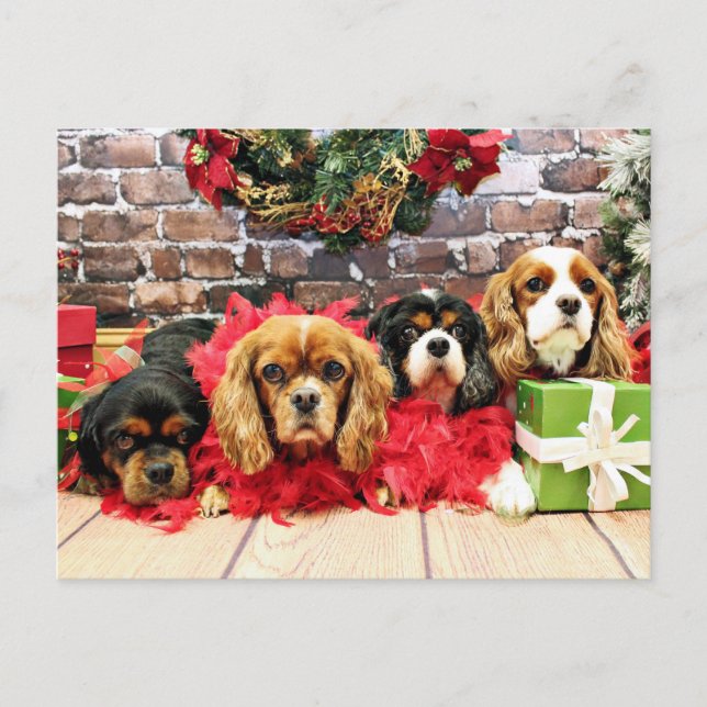 Cartão Postal De Festividades Christmas - Cavalier - Sweet Pea, Lily, Rose Poppy (Frente)