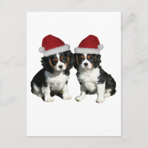 Cartão Postal De Festividades Christmas Cavaliers