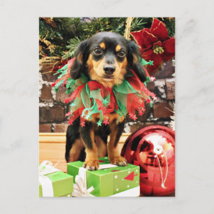 Cartão Postal De Festividades Christmas - Chiweenie - Titus